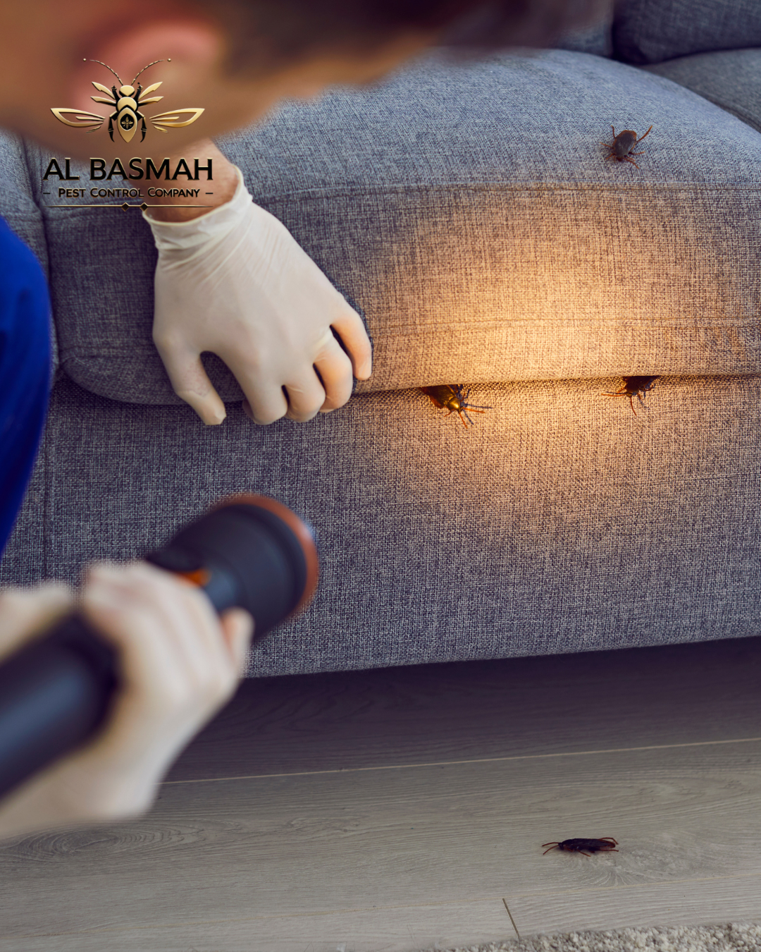 Read more about the article مكافحة حشرات فى مدينة الرياض فى ابوظبي