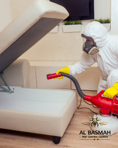 Read more about the article مكافحة الفئران في أبو ظبي