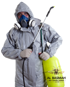 Read more about the article رش مبيدات حشرية في أبوظبي